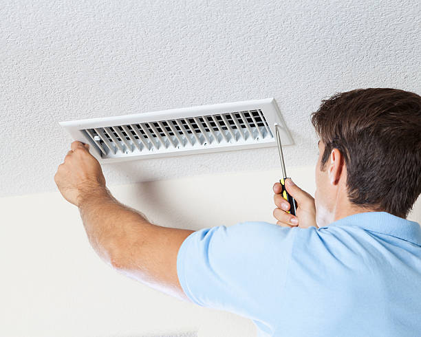 Best Environmental Consulting for Mold Prevention  in Lafayette, TN